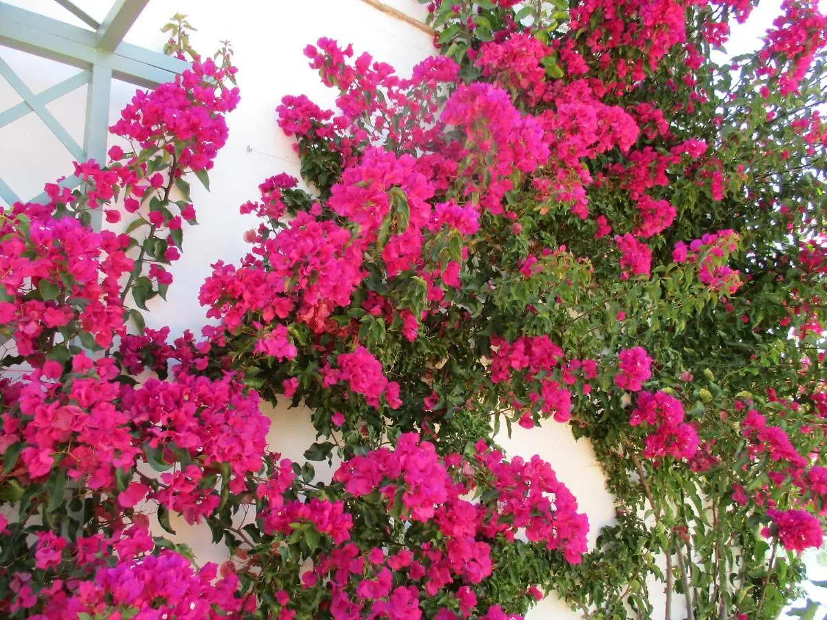 Casa Laibon Bed & Breakfast Gaucin